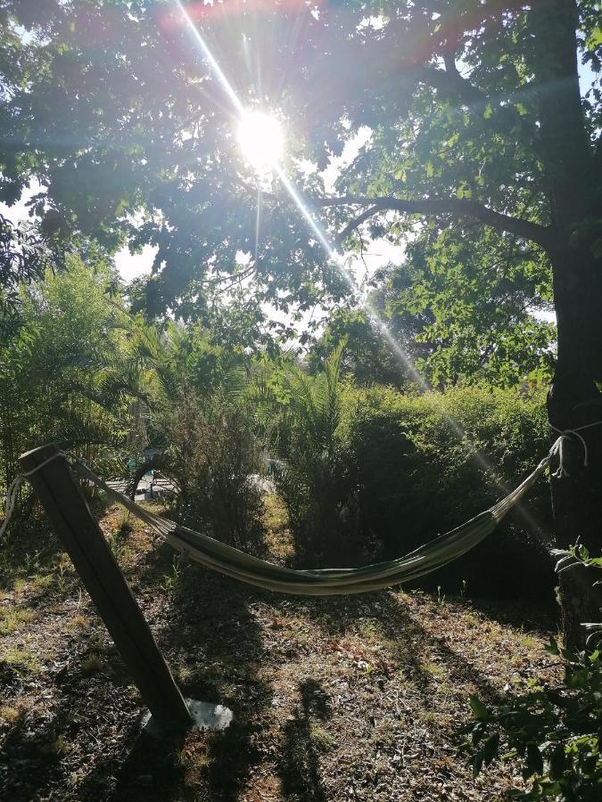 Vivenda A Nossa Coroa Vila Coja Exterior foto